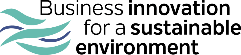 Business Innovation for a Sustainable Environment
